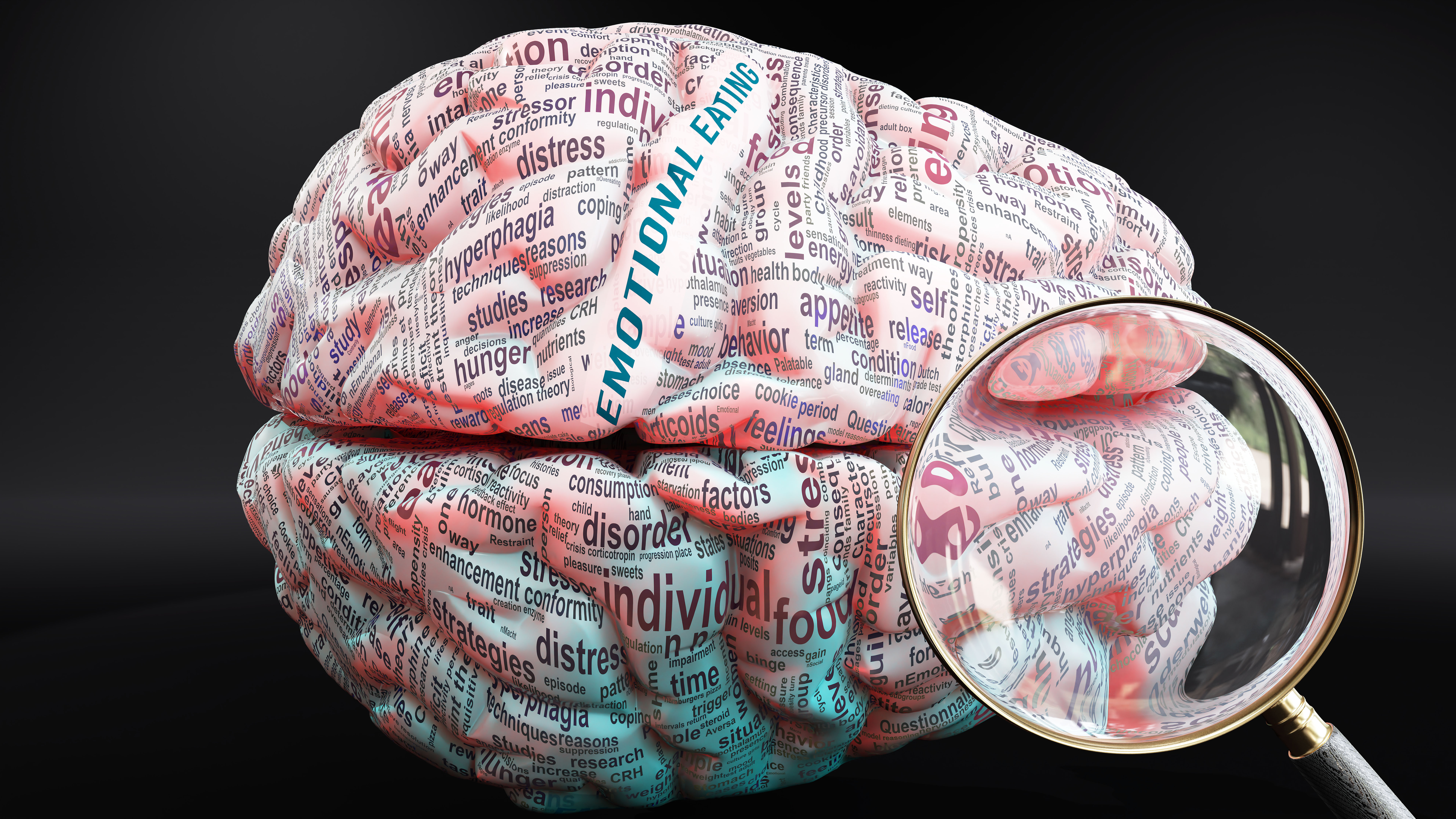How the brain contributes to shaping our eating habits