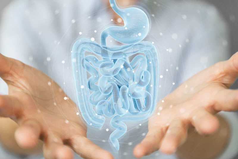 Our Deep Commitment to Optimal Gut Health